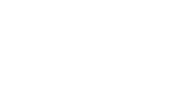 hdho_alxkluge_logo-1