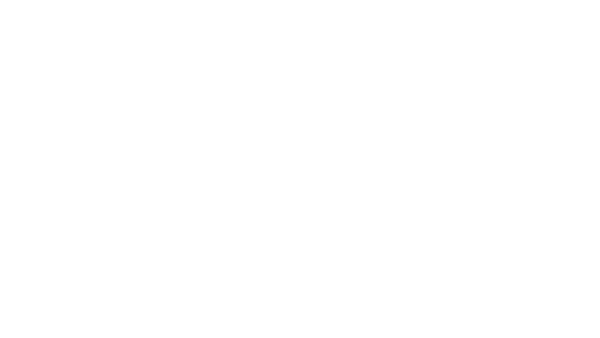 hdho_nion_logo